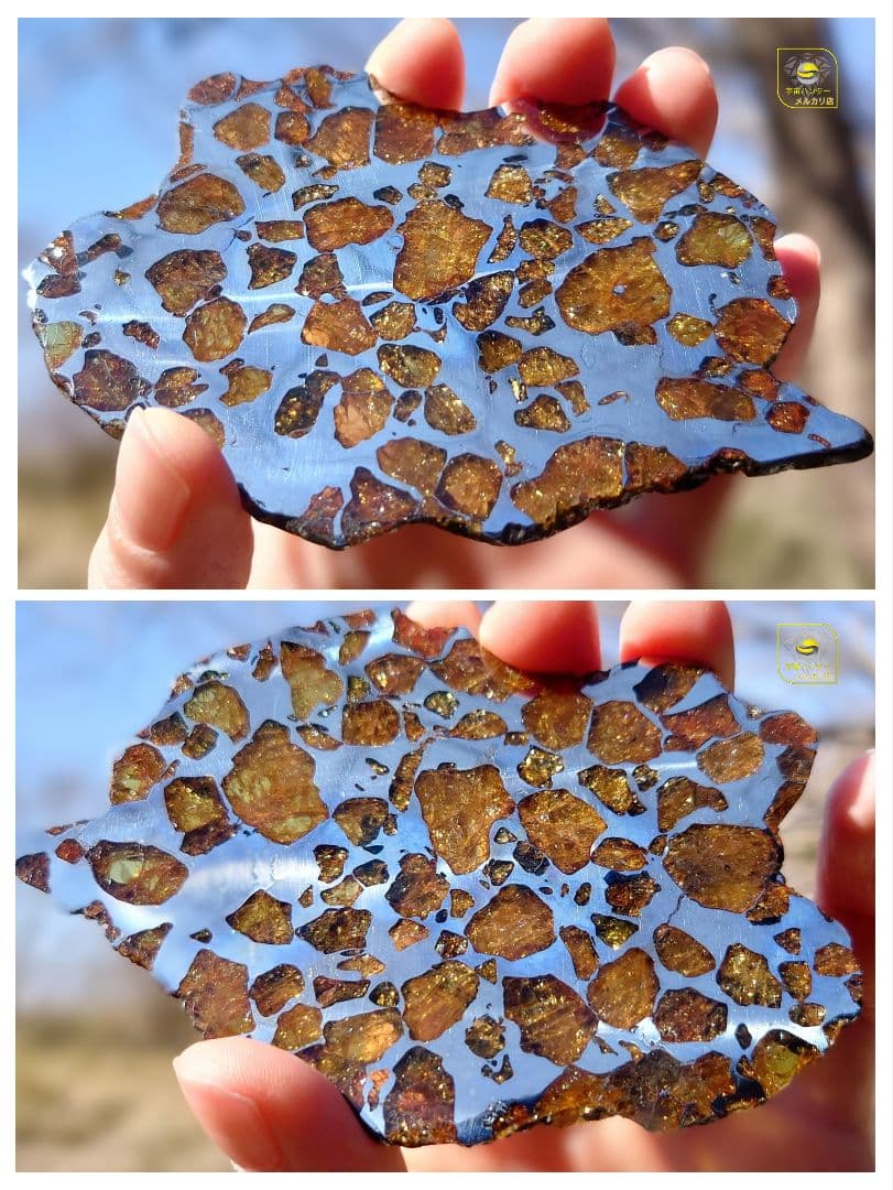 トッポー★65.59g イミラック パラサイト 隕石 Imilac⭐⭐⭐