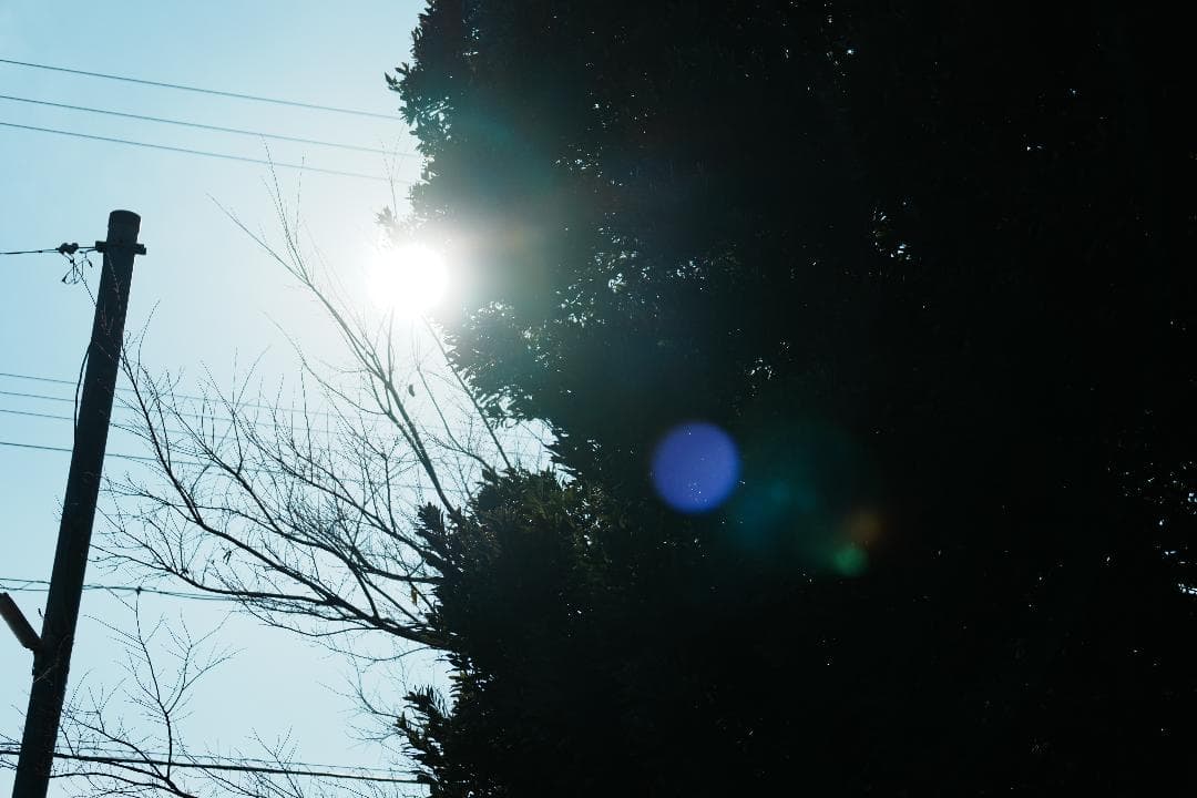 未使用級美品 SEL70300G プロ検証済み 家族の思い出を残す一本