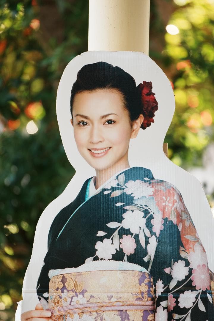 未使用級美品 SEL70300G プロ検証済み 家族の思い出を残す一本