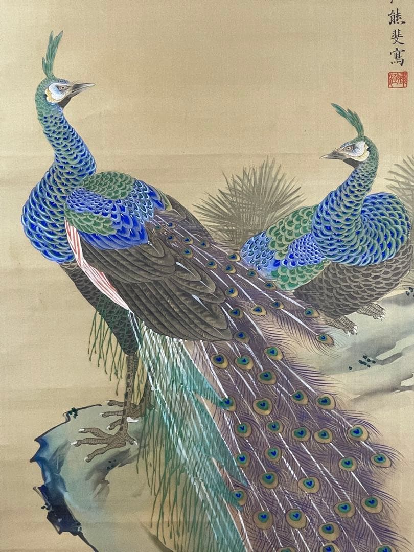 日本画 熊斐銘 孔雀図 掛軸 肉筆 絹本 時代箱付 古美術 4C06-11 - メルカリ