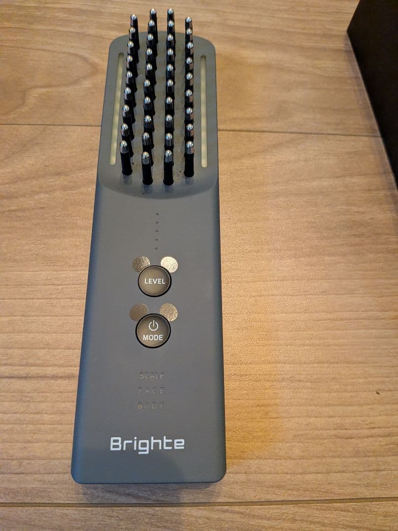 Brightee EEK BRUSH 美顔器 スカルプ 全身ケア ミッキーマウス