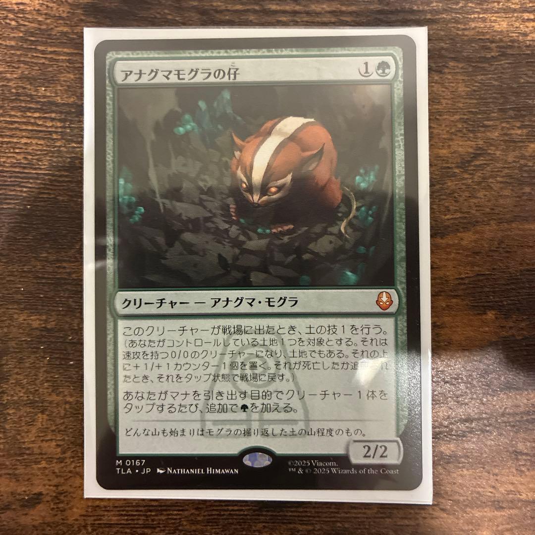 アナグマモグラの仔 〈MTG〉 アナグマモグラの仔/Badgermole Cub《日本語》【TLA】