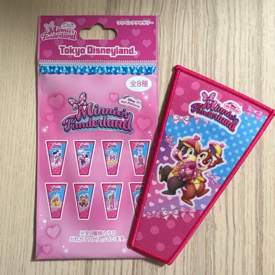 ディズニーパルパルーザ ミニーのファンダーランド ワッペン2点 まとめ