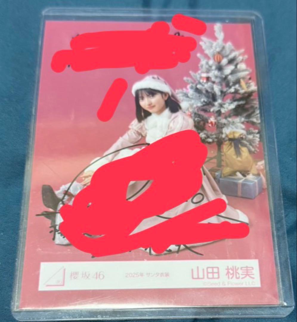 櫻坂46 小島凪紗 山田桃実 生写真 サイン