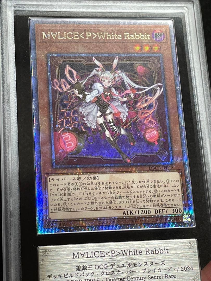 ②【ARS鑑定10】M∀LICE <P>White Rabbit 25th 日版