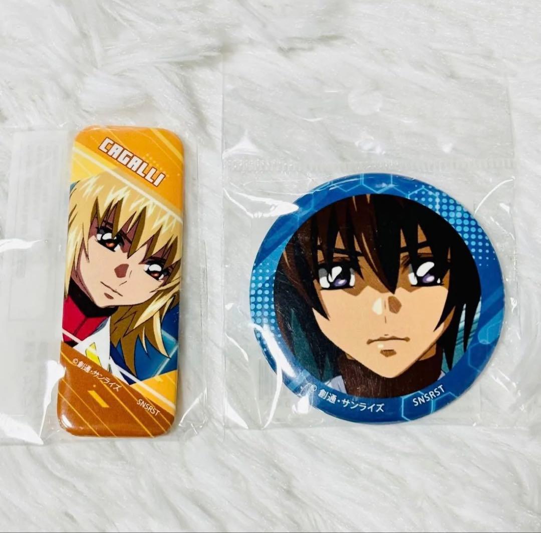 機動戦士ガンダムSEED DESTINY 缶バッジセット - メルカリ
