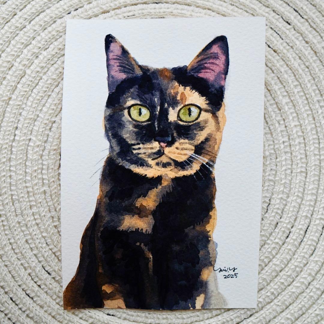猫の絵 328 水彩画 原画 サビ猫 ポストカードサイズ - メルカリ