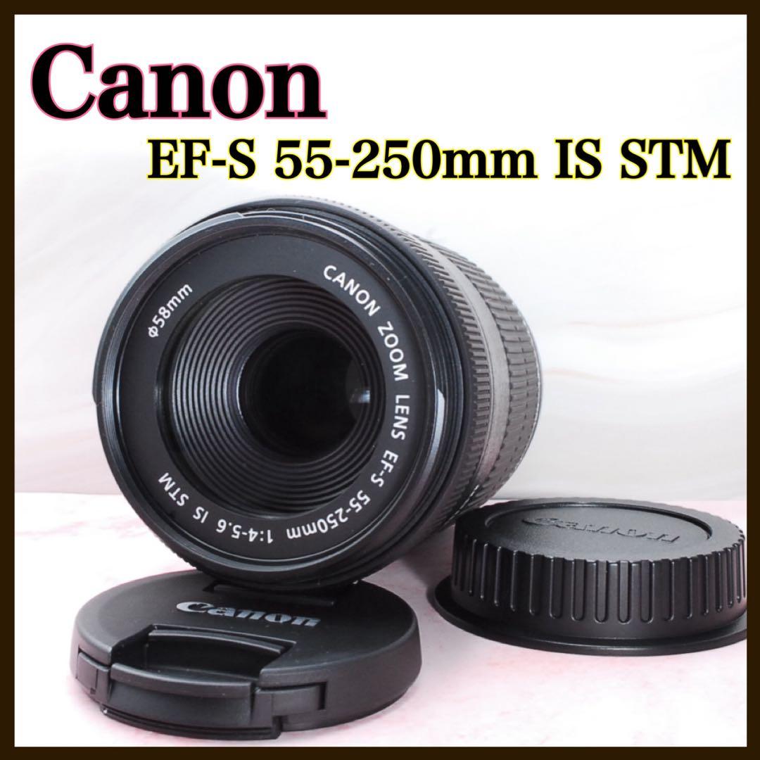 美品✨Canon EF-S 55-250mm IS STM 高性能望遠レンズ EF-S キヤノン Canon 55-250mm F4-5.6 IS STM 望遠レンズ 一眼レフ