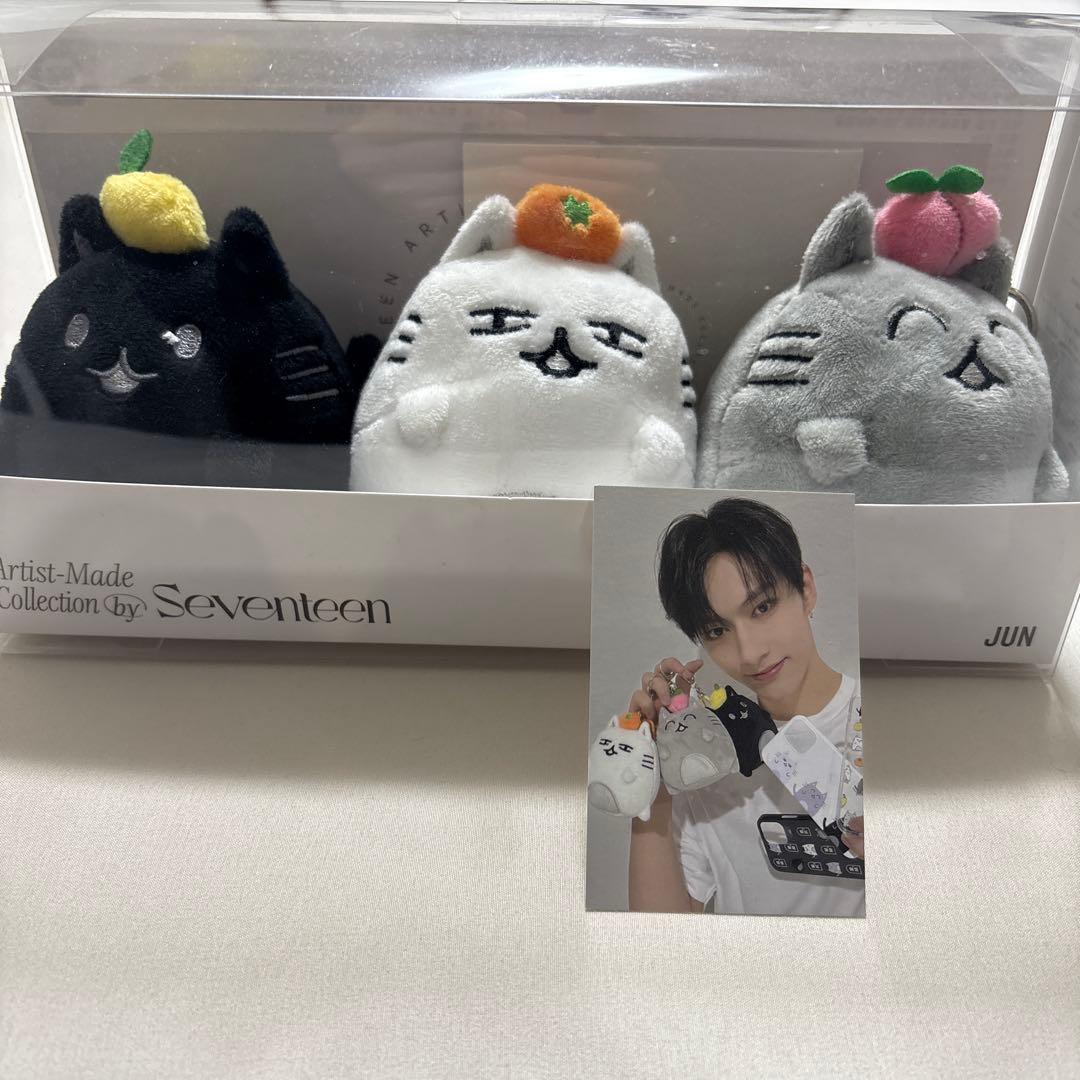 SEVENTEEN JUN アーティストメイドぬいぐるみセット SEVENTEEN ジュン ぬいぐるみ キーリング アーティストメイド - メルカリ