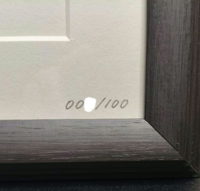 【100枚限定】ポケモン コレクタブルアート レックウザ逆鱗 一桁シリアル番号