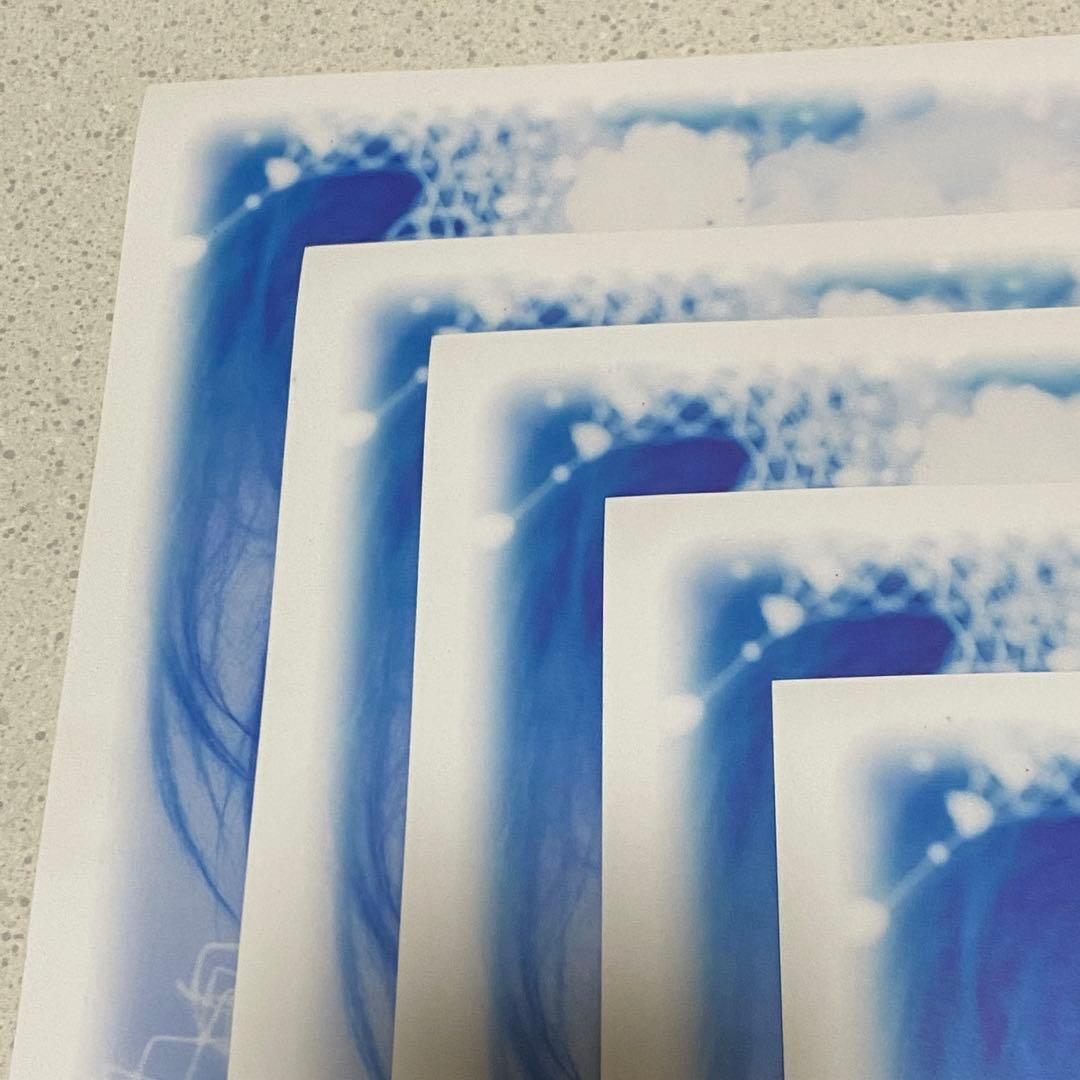 【超美品】MALICE MIZER Gardenia ポスター