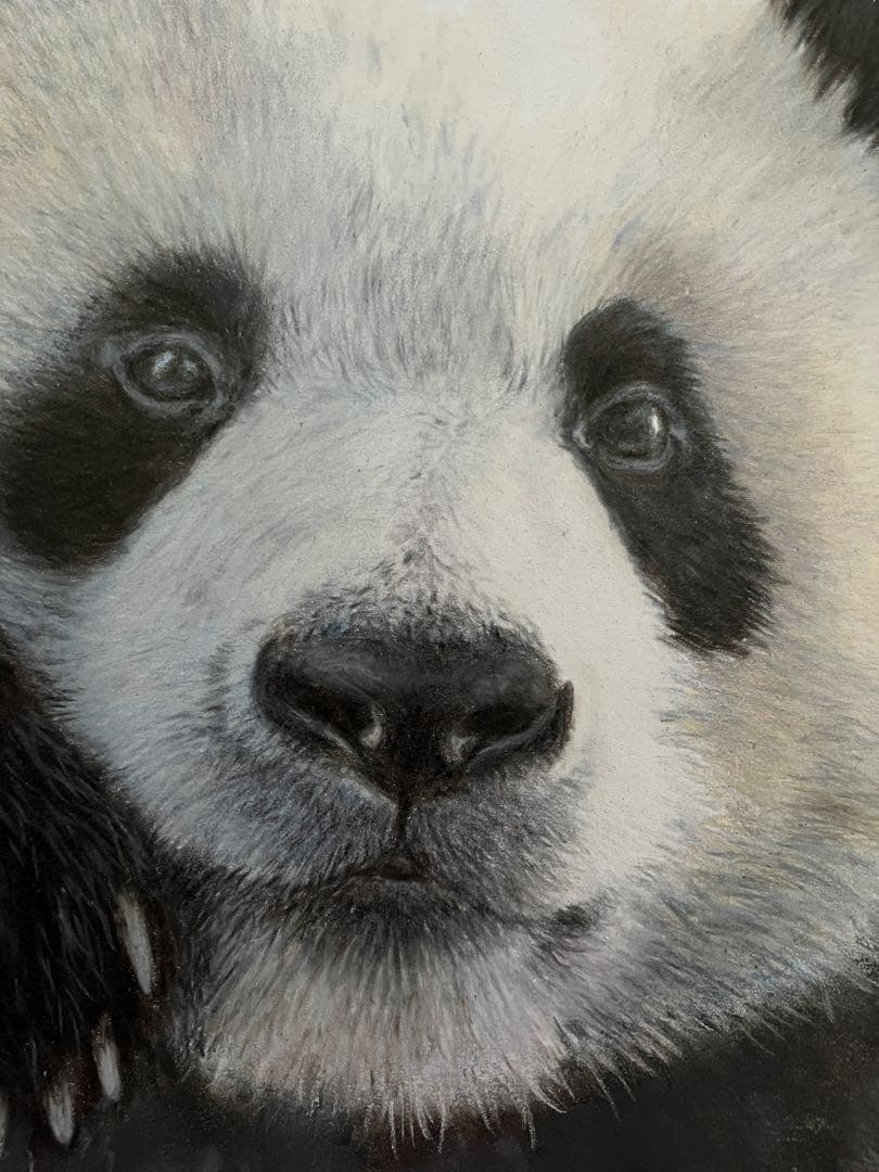 “やっほい” 色鉛筆画 パステル パンダ