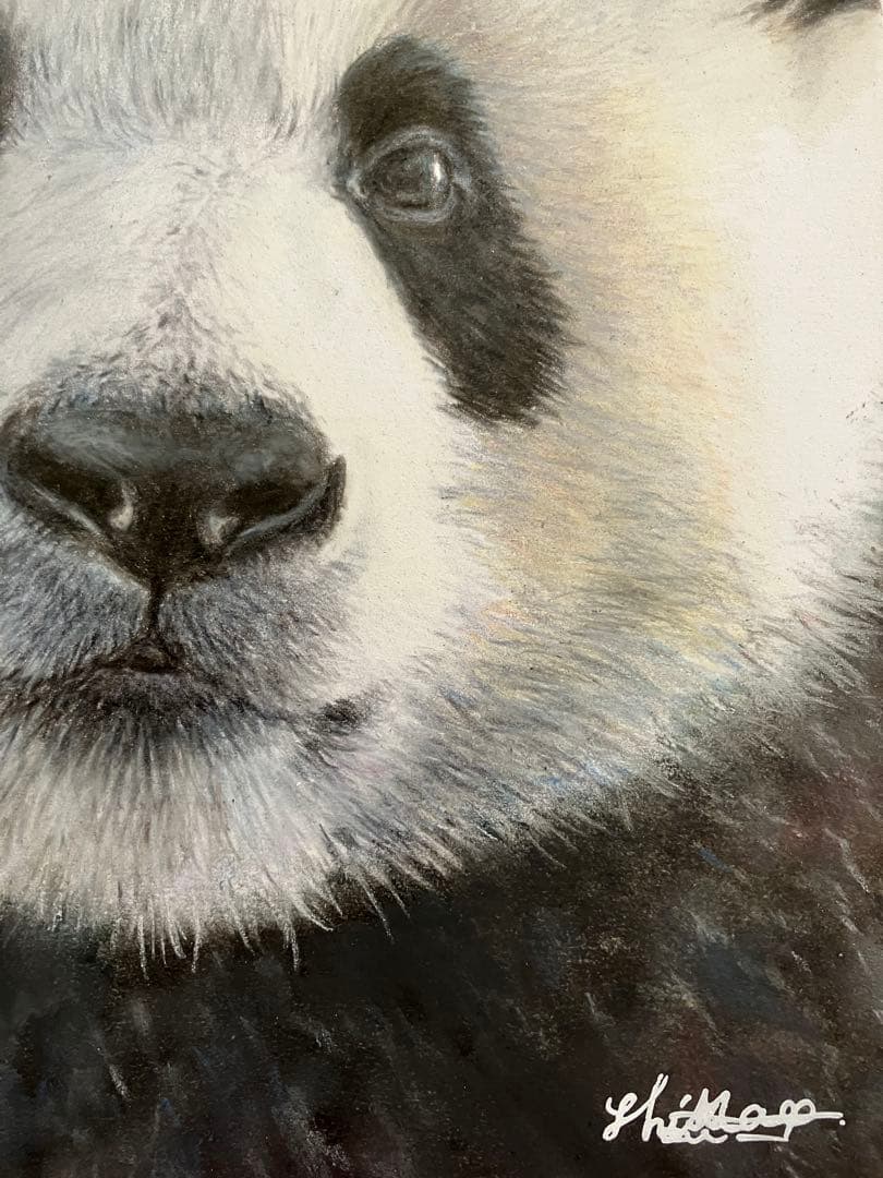 “やっほい” 色鉛筆画 パステル パンダ