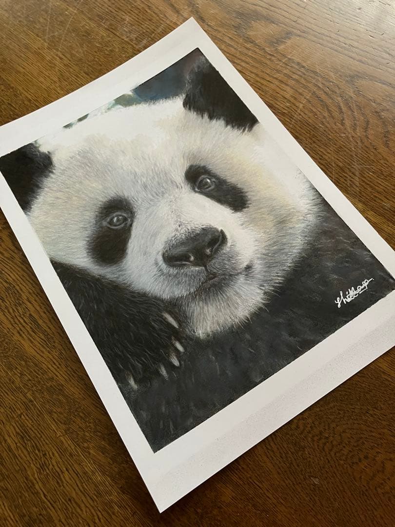 “やっほい” 色鉛筆画 パステル パンダ