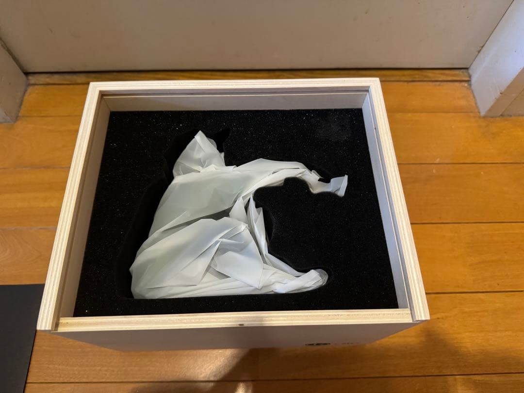 YUSUKE HANAI 花井祐介 Throwing Stones