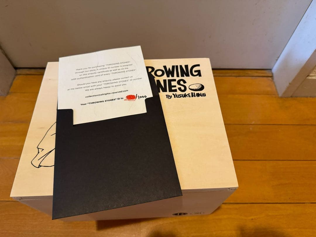 YUSUKE HANAI 花井祐介 Throwing Stones