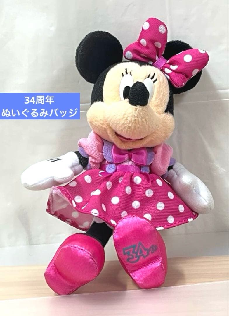 ミニー ぬいぐるみバッジ ディズニーリゾート 34th 34周年 トゥーン