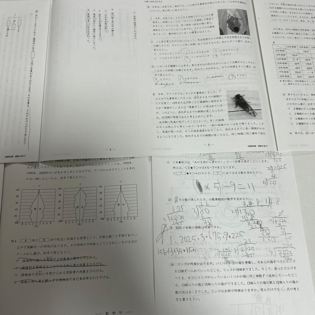 日能研 テスト 解答解説 中学受験データ 全国模試 - メルカリ