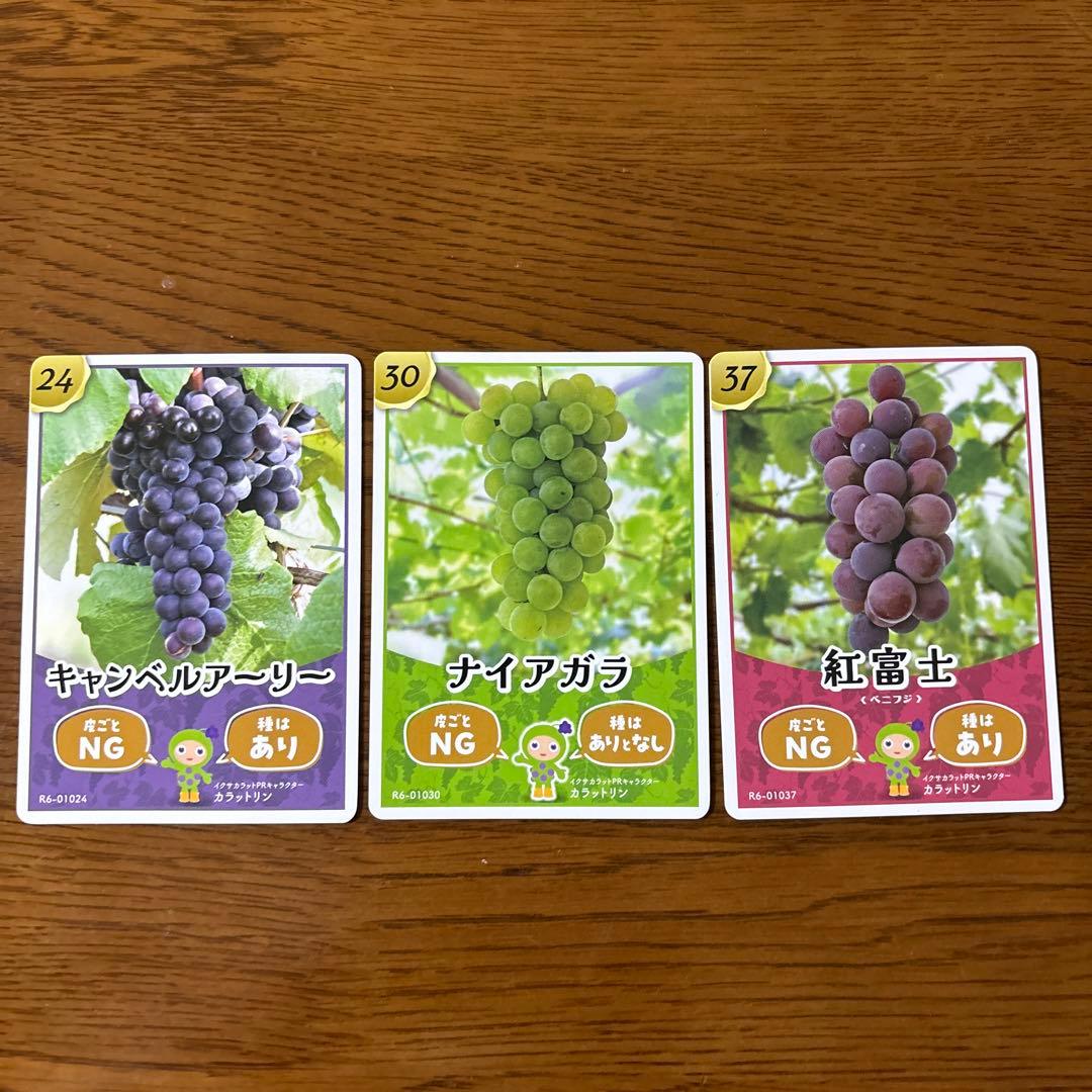 長野県生坂村 道の駅のぶどうカード - メルカリ