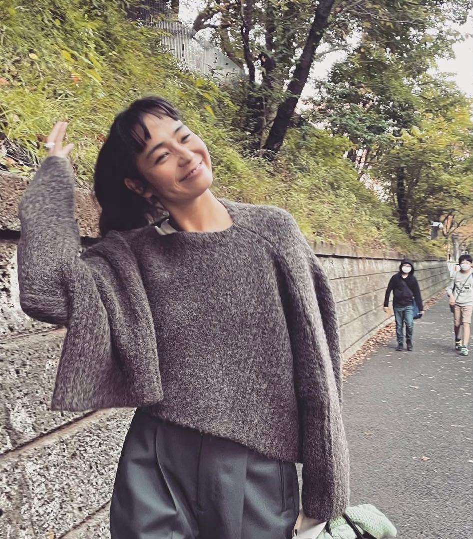 THE SHISHIKUI アルパカ85ニット L GRAY - メルカリ