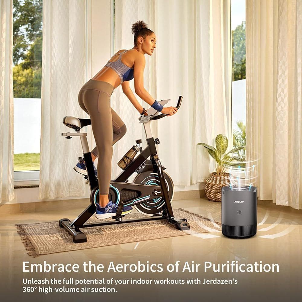 Jerdazen 空気清浄機 小型 脱臭 集じん ペット 花粉 静音 グレー 生活