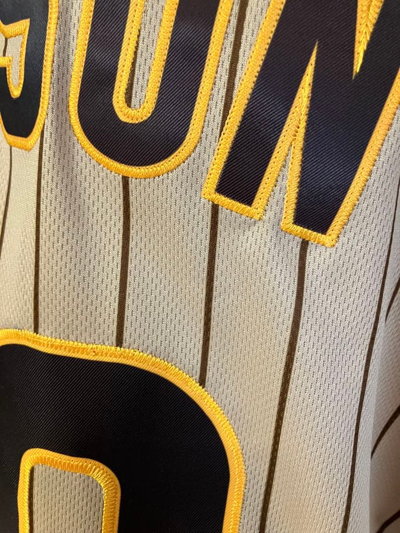 元阪神タイガース ピアースジョンソン 選手 サンディエゴパドレス時代