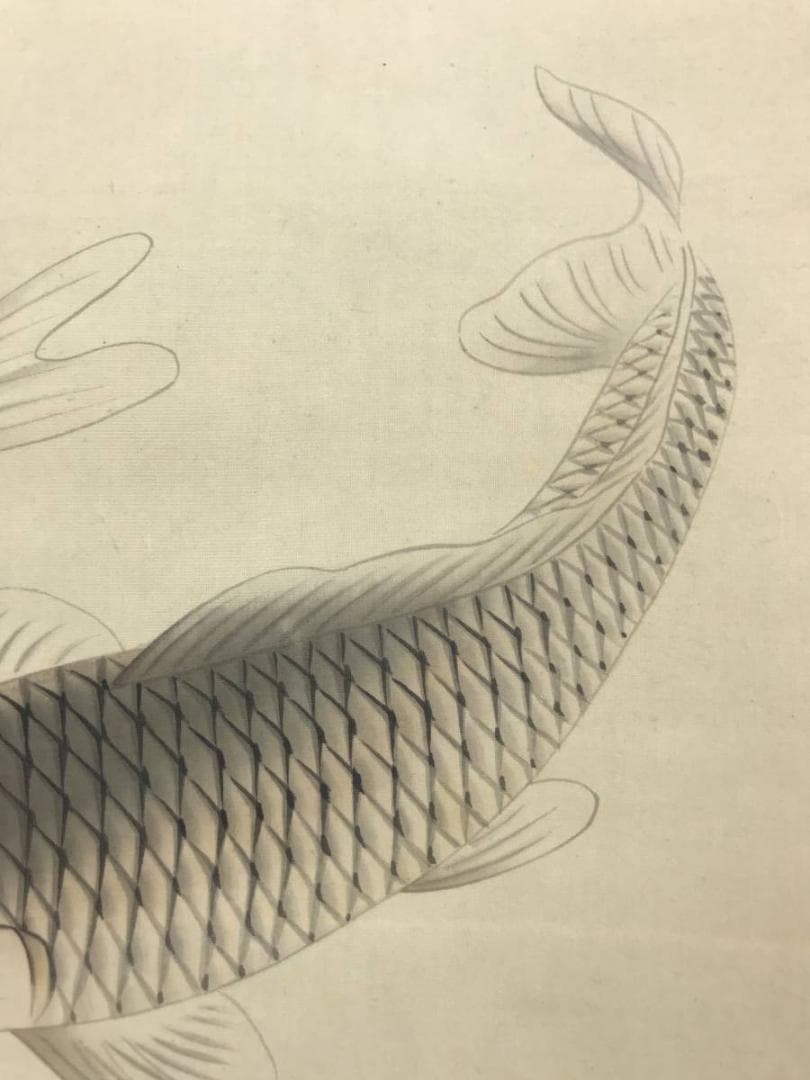 【真作】要/松鯉図/遊鯉図/游鯉図/コイ図/掛軸/名家伝来/AD-209