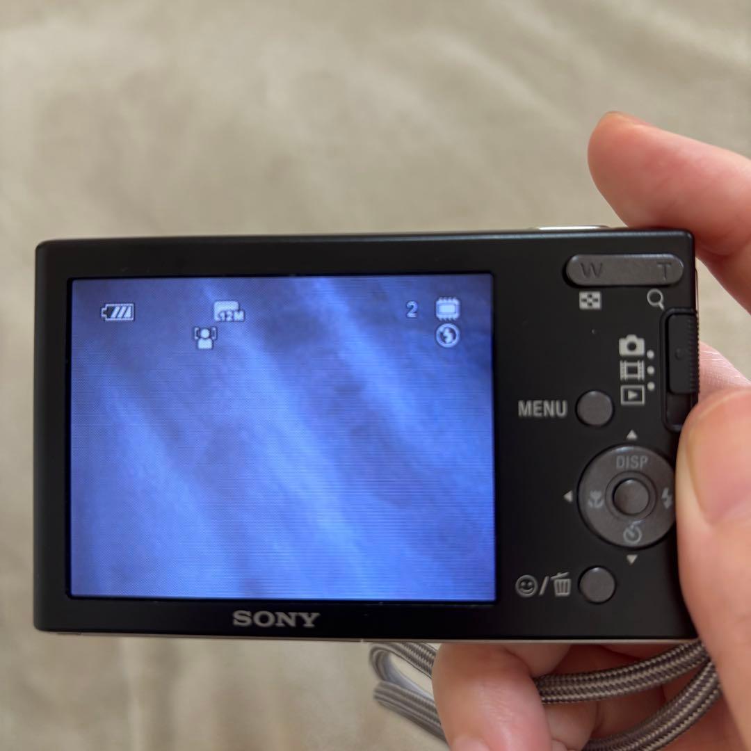 【即発送】SONY Cybershot DSC-W190 12.1MP