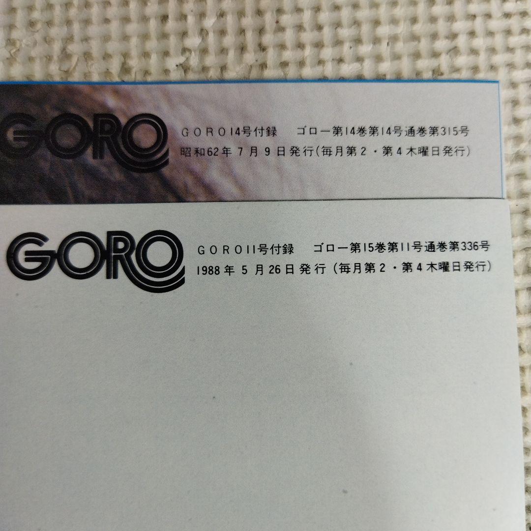 GORO 付録 ポスター 33枚セット ゴロー アイドル