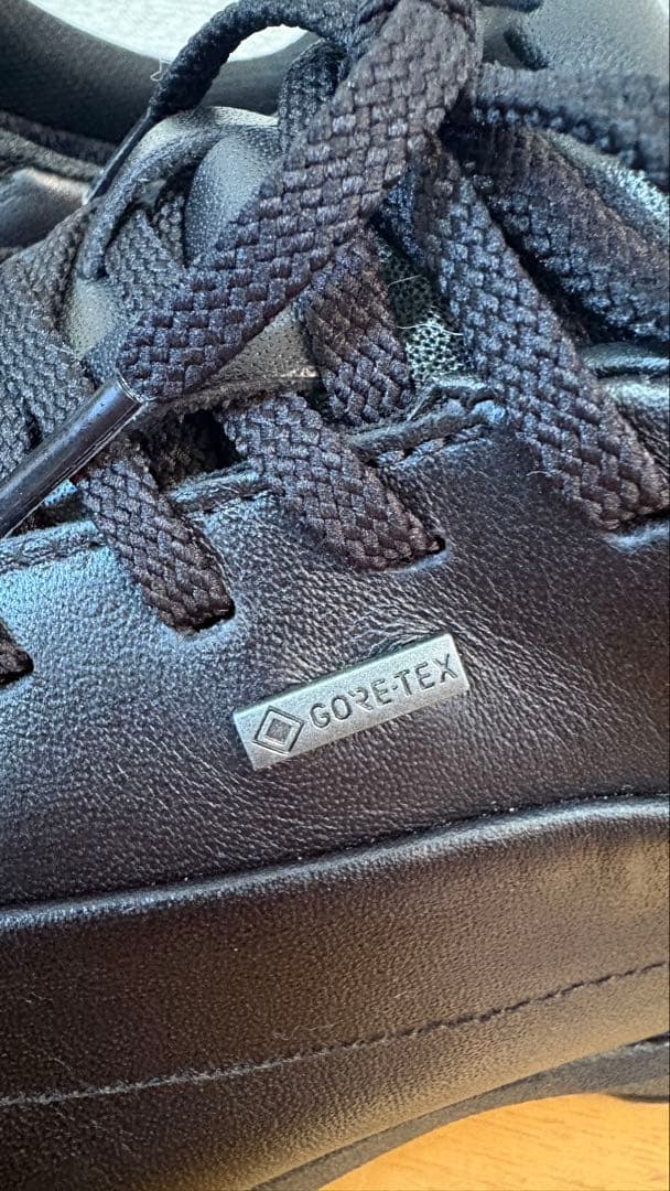 ミズノ ウォーキングシューズ 27.5cm 4E GORETEX