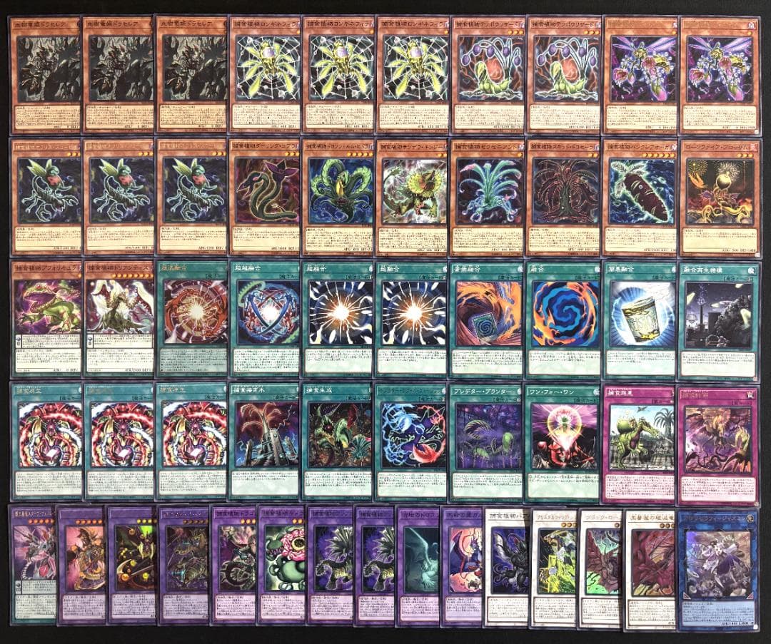 遊戯王 捕食植物 デッキ デッキパーツ メイン40枚+EX15枚+他12枚
