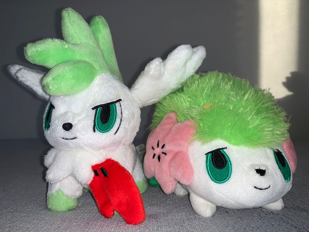 ポケドール セット