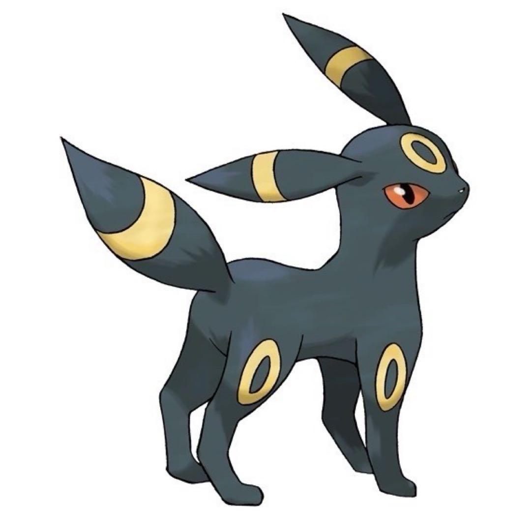 まるで等身大 ポケモン ブラッキー 80cm ぬいぐるみ ポケットモンスター
