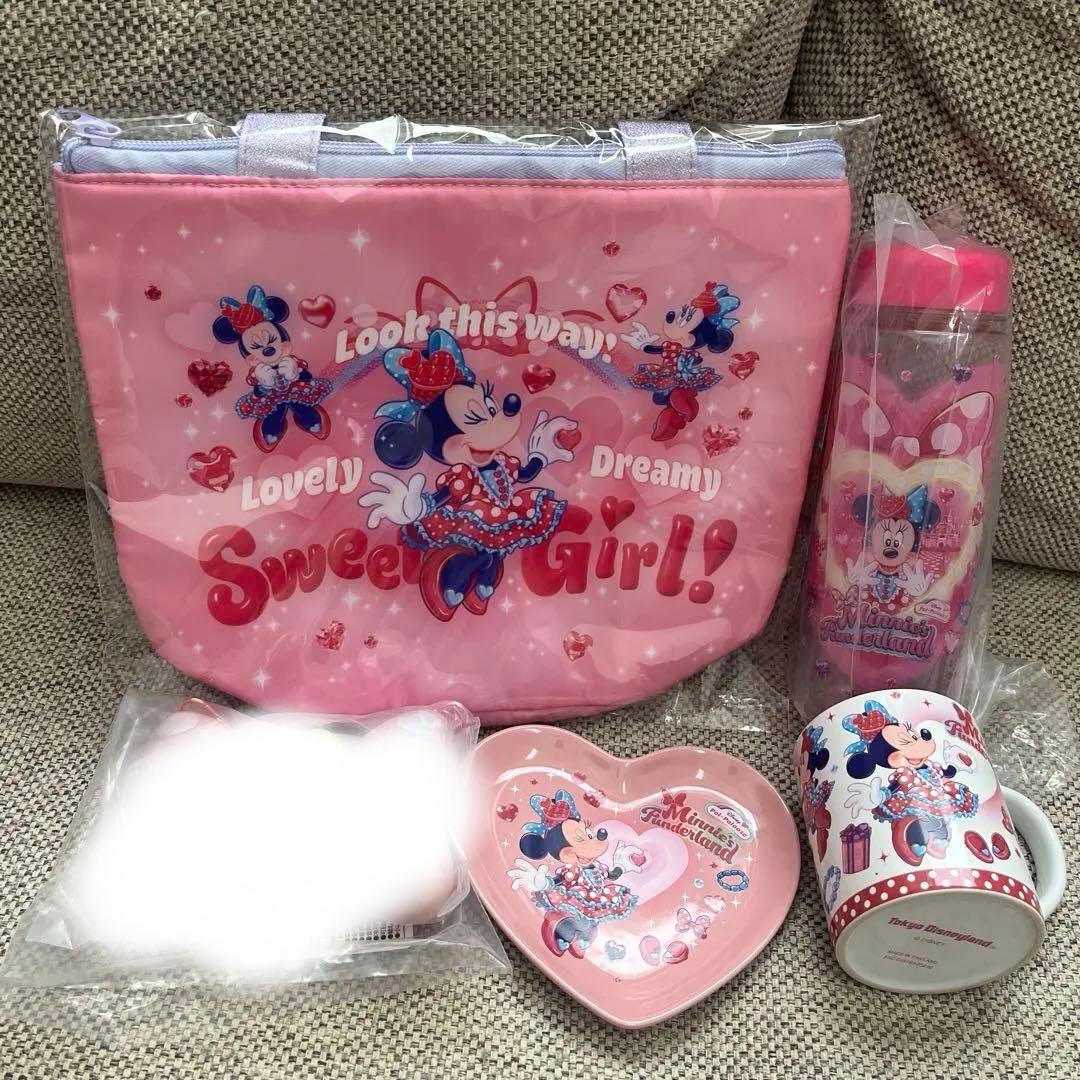 ディズニー パルパルーザ ファンダーランド ミニー スーベニア 5点