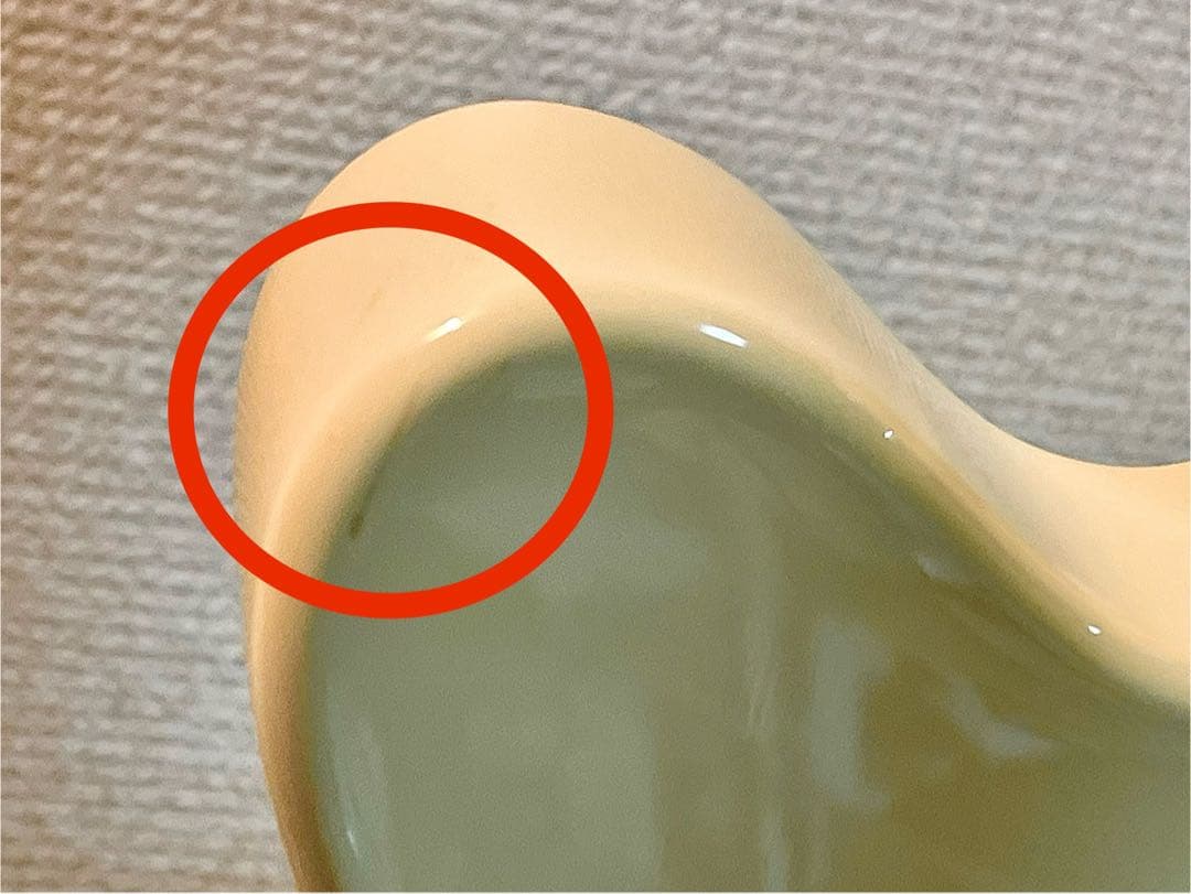 ギター Godin Radiator