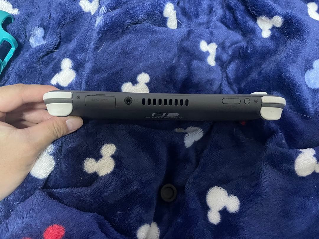 d*7様 Nintendo Switch Lite グレー 割れ液漏れあり(ジャ - メルカリ