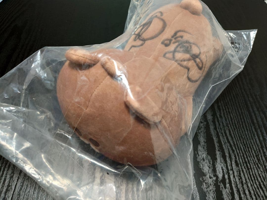 【久保史緒里&弓木奈於】直筆サイン入りLINELIVE限定横たわりピロー人形