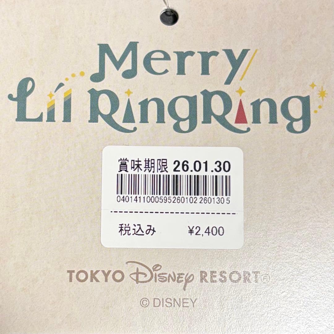 ディズニー⭐️リルリンリン 2025 ディズニークリスマス お菓子セット 10点