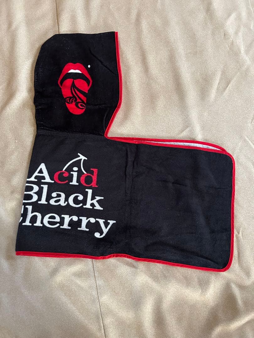 Acid Black Cherry グッズまとめ売り①