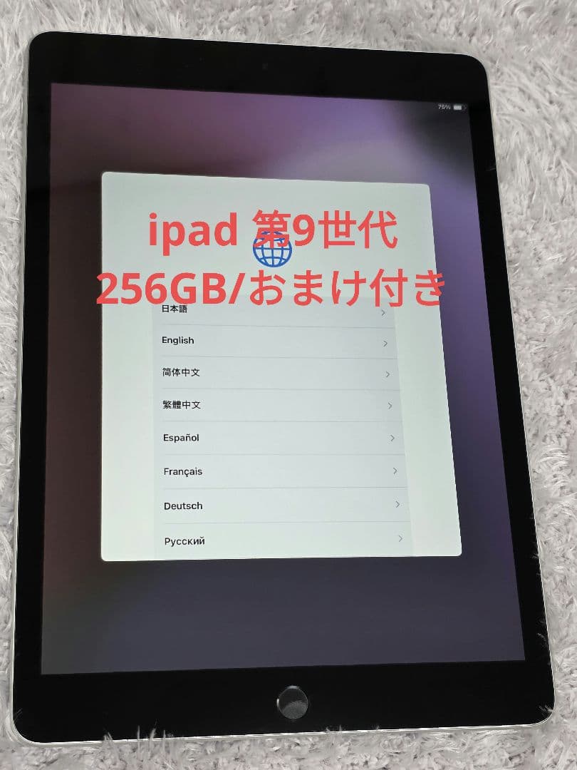 iPad (第9世代) 256GB Wi-Fi シルバー おまけ付き Apple iPad 10.2インチ 第9世代 Wi-Fi 256GB 2021年秋モデル 価格比較
