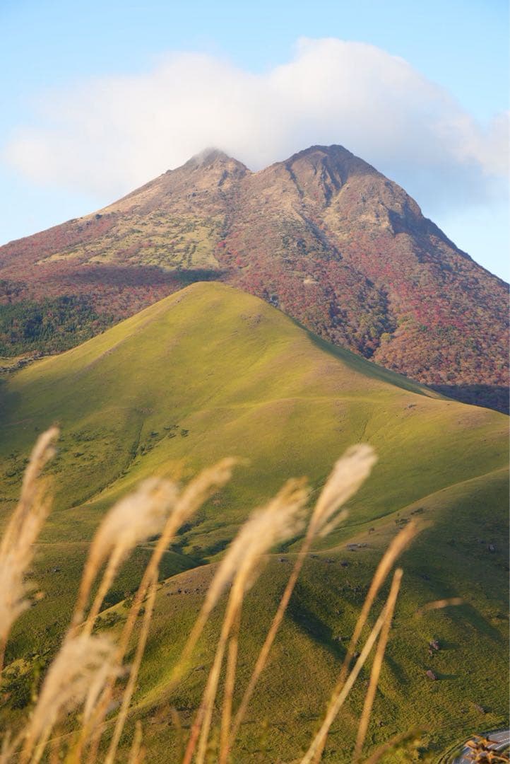 レンズ(ズーム) SONY FE 70-300mm F4.5-5.6 G OSS