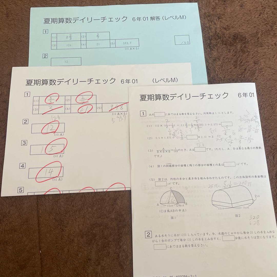 サピックス SAPIX 6年 算数デイリーチェック レベルM 01～18 - メルカリ