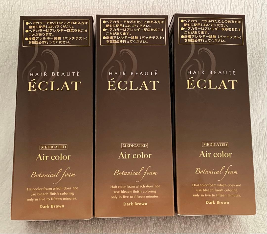 ヘアボーテ エクラ ボタニカルエアカラーフォーム　ダークブラウン80g×3本 ヘアボーテ エクラ ボタニカルエアカラーフォーム ダークブラウン