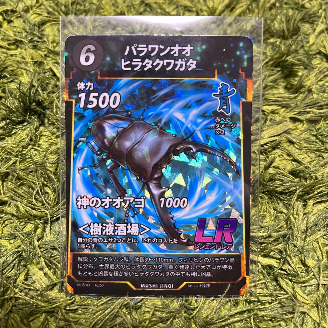 蟲神器 パラワンオオヒラタクワガタ - メルカリ