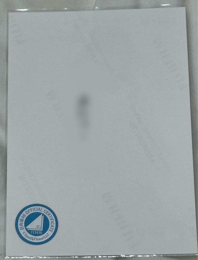 大野愛実 直筆サイン入り生写真 サンタ衣装