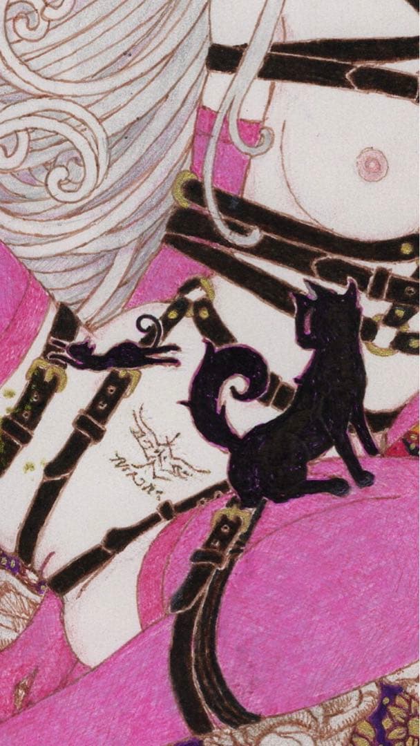 緊縛天使　コスモス　Bondage angel Cosmos