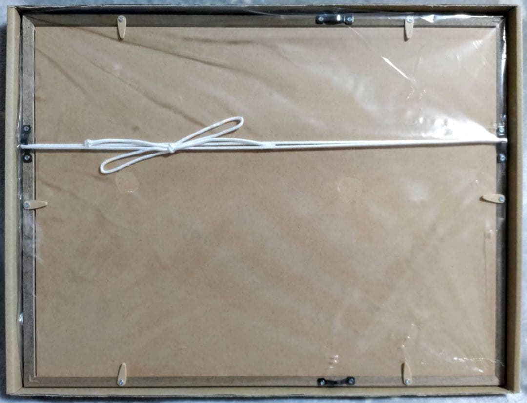 トライガン ミストグラフ ヴァッシュ 蒼天 内藤泰弘 直筆サイン入り