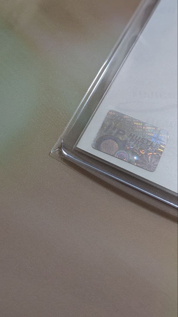 渡邉理佐　2016 写真