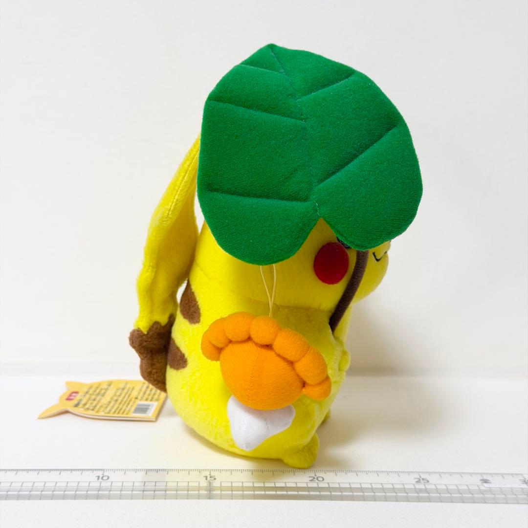 マンスリーピカチュウ 2005年6月ポケモンセンター限定 ポワルンてるてるぼうず