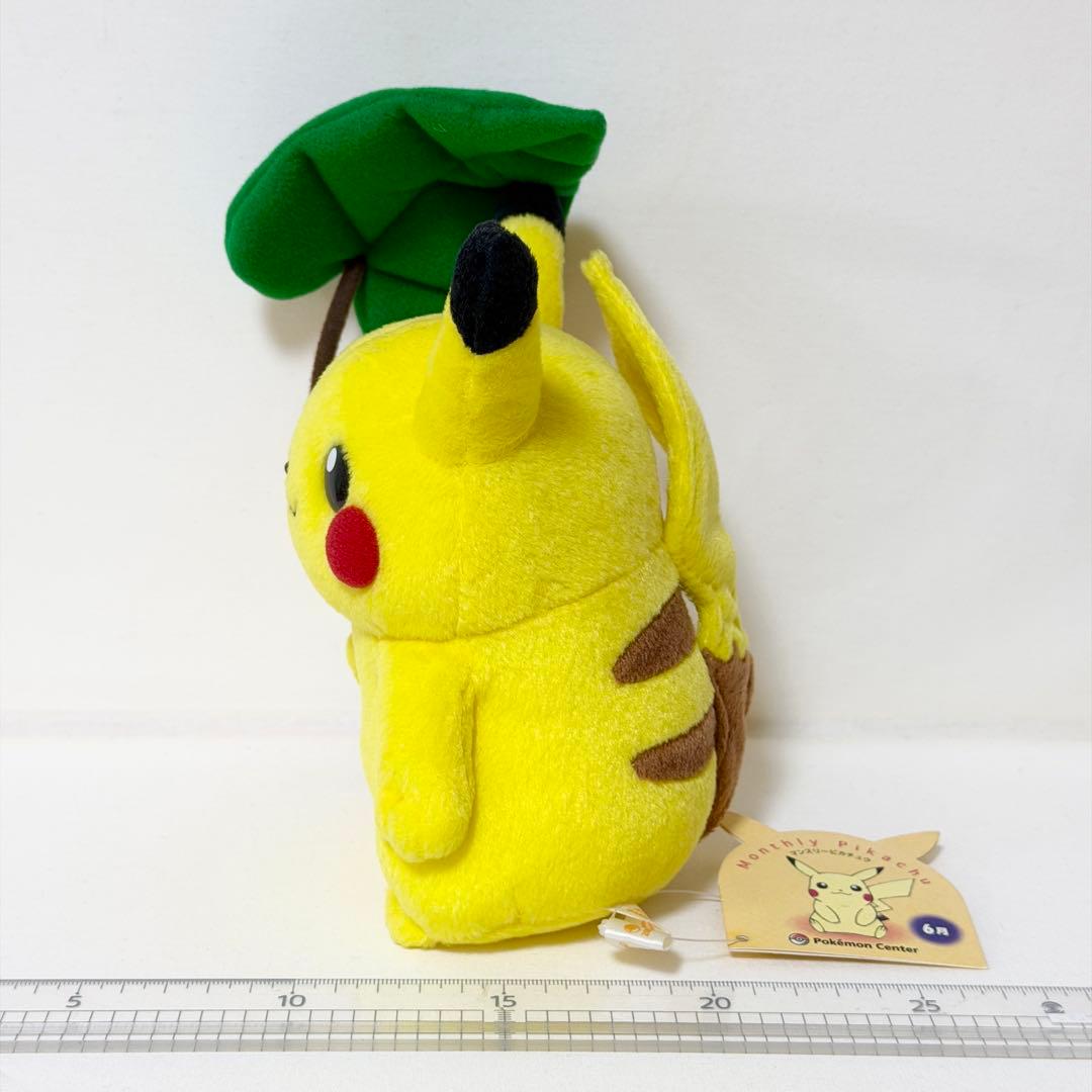 マンスリーピカチュウ 2005年6月ポケモンセンター限定 ポワルンてるてるぼうず